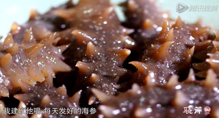 海參進(jìn)補(bǔ)從娃娃抓起，兒童吃海參的好處！