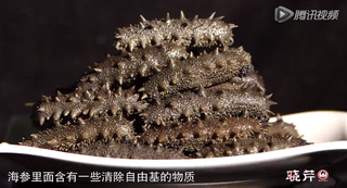 孝敬父母，為何首選海參？